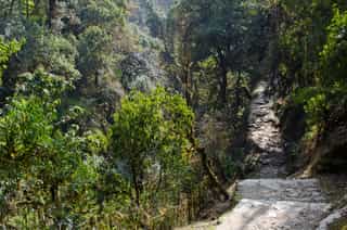 Poon Hill Trek