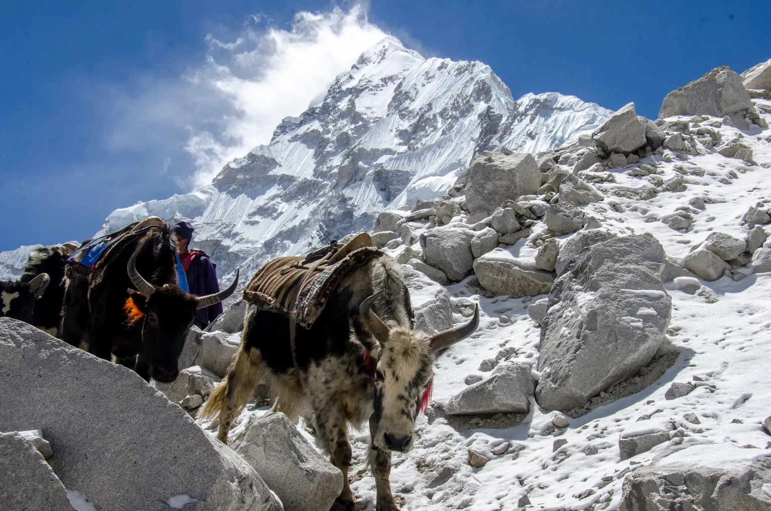 Nepal landscape 2