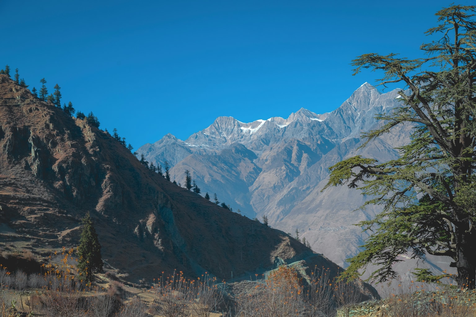 Oberes Dolpo Trek